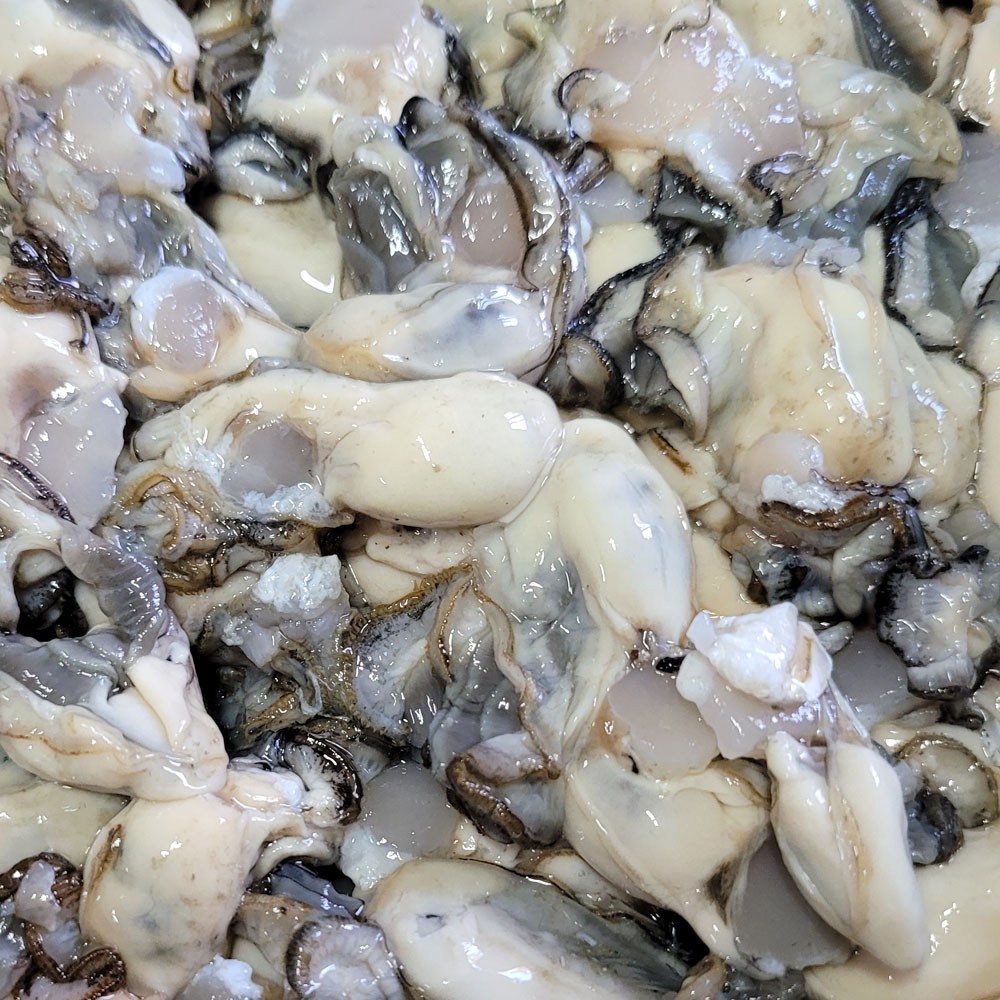 고흥 100% 자연산굴 26,900원