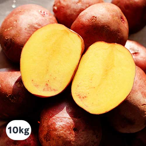 부자농원 100% 황토재배 햇 홍감자 전남 산지직송 카스테라 감자, 10kg(특상), 1개 48,800원