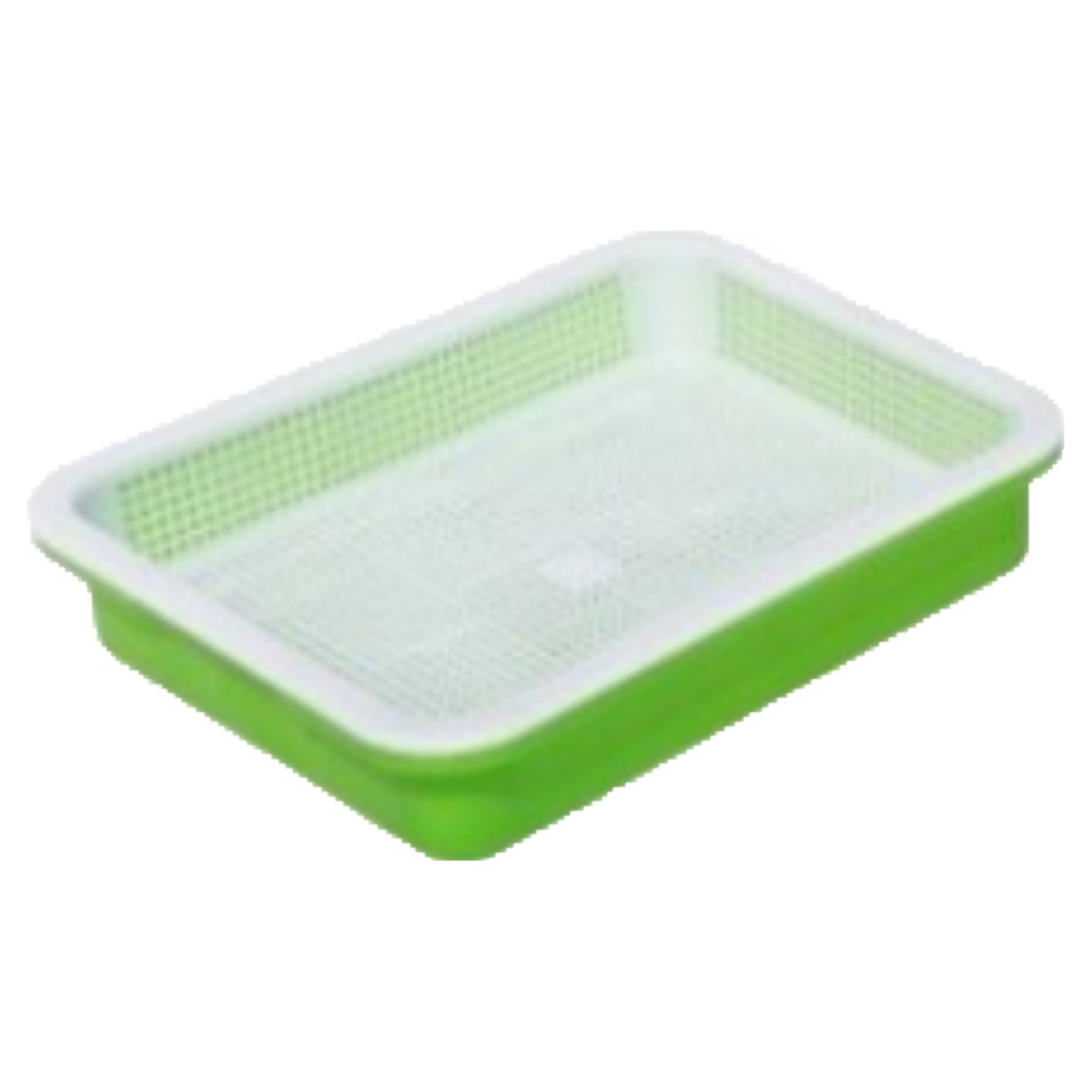 새싹보리 씨앗가정 재배 엿질금 용도 겉보리 3kg 8,500원