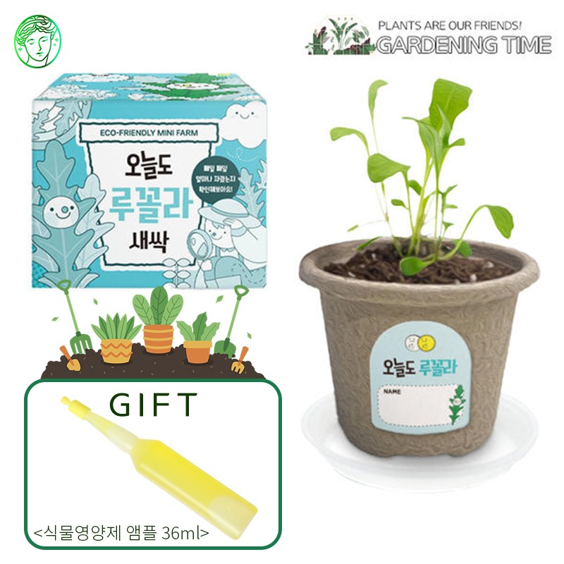 [식물영양제증정] 오늘도 새싹 - 지피포트 식물키우기 11종, 택1/ 원예 꽃재배 학습활동 모종키우기 원예체험 재배 2,800원