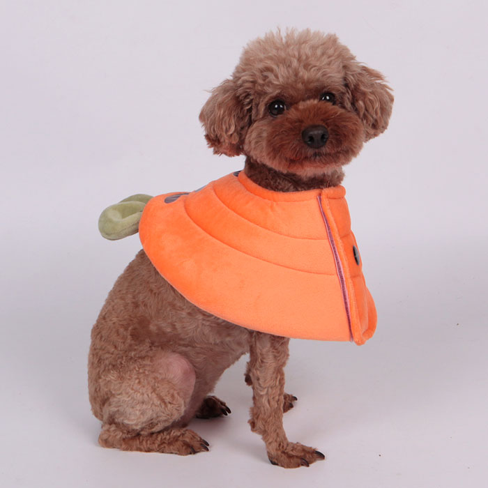 딩동펫 강아지 큐트 엘리 넥카라 6,900원