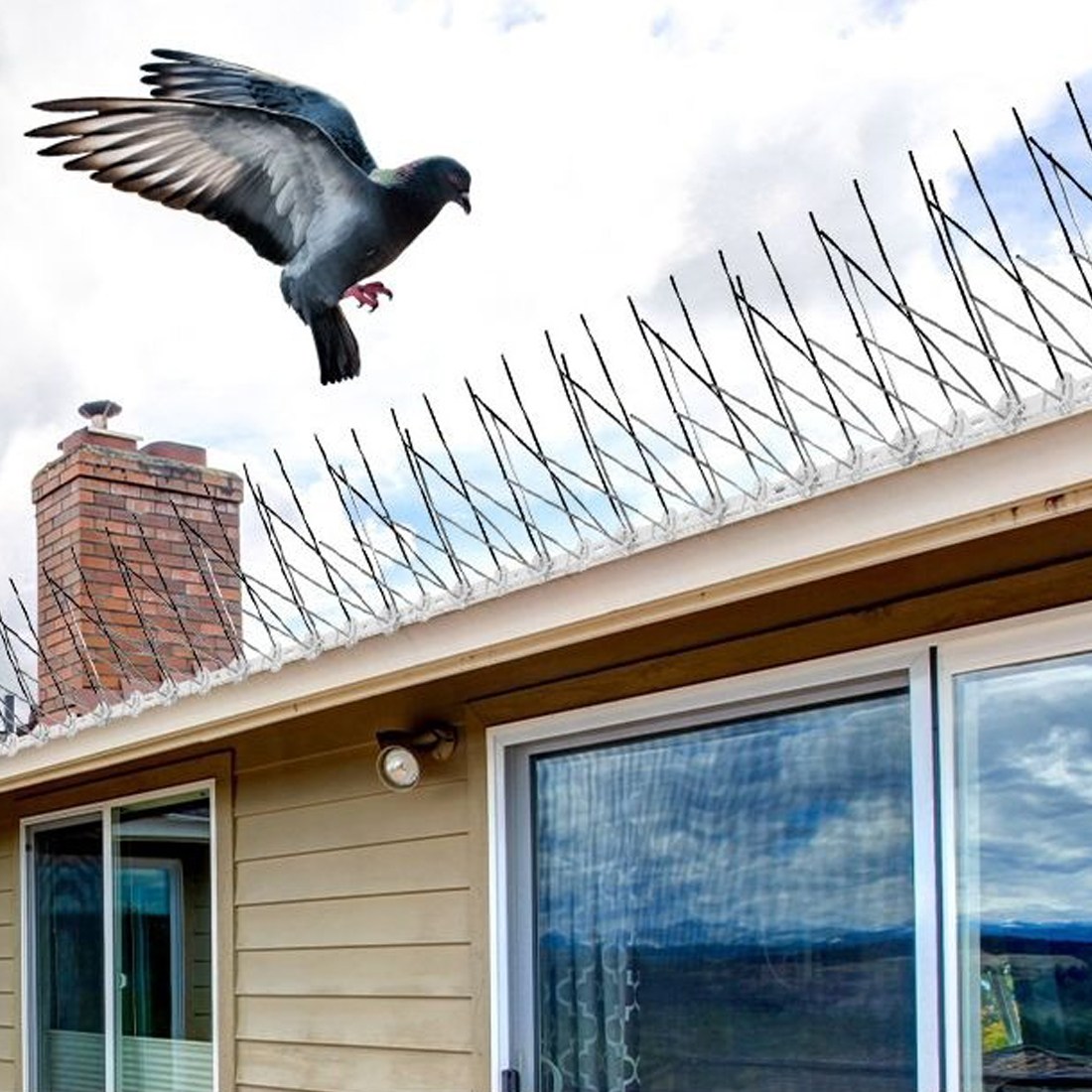 비둘기퇴치 버드스파이크50cm 5PCS세트, 5개, 투명 11,800원