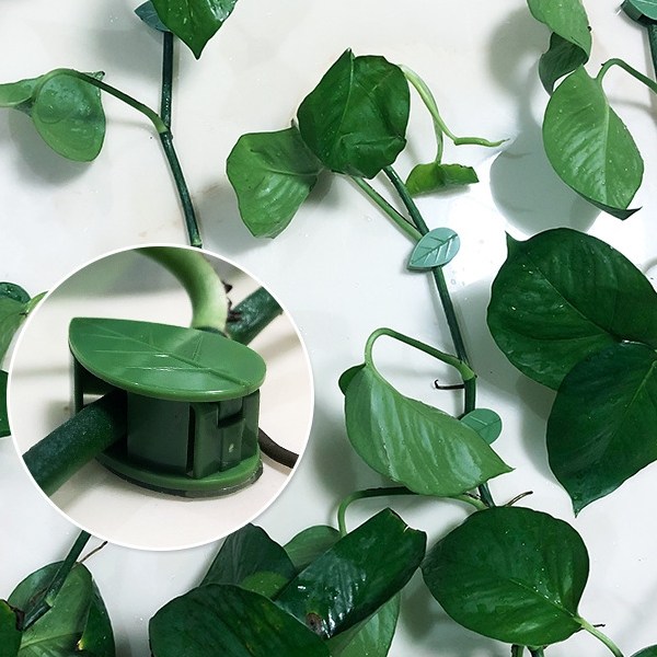 식물 고정 클립 지지대 홀더 넝쿨 나무 나뭇가지 작물 케이블 정리 전선 선 화초 가지 덩쿨 나뭇잎 캡 고정핀 집게 벽 줄기 070690RM 7,760원