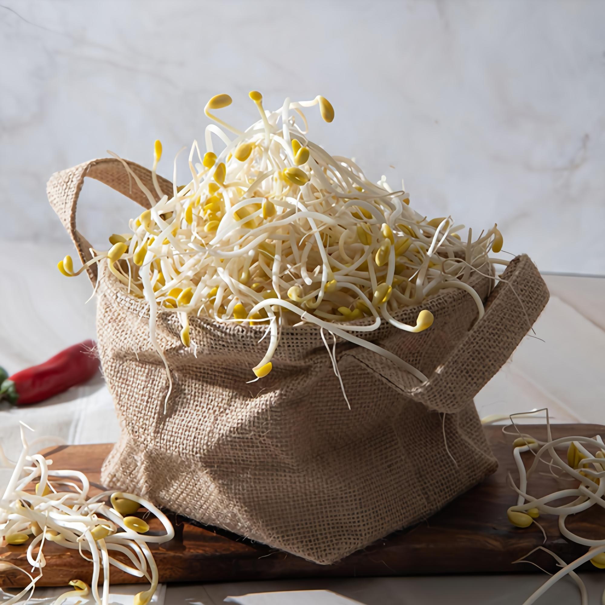 친환경 국산콩 콩나물 2kg 무농약 아삭한 간편조리 콩나물, 1개, 2kg 9,320원