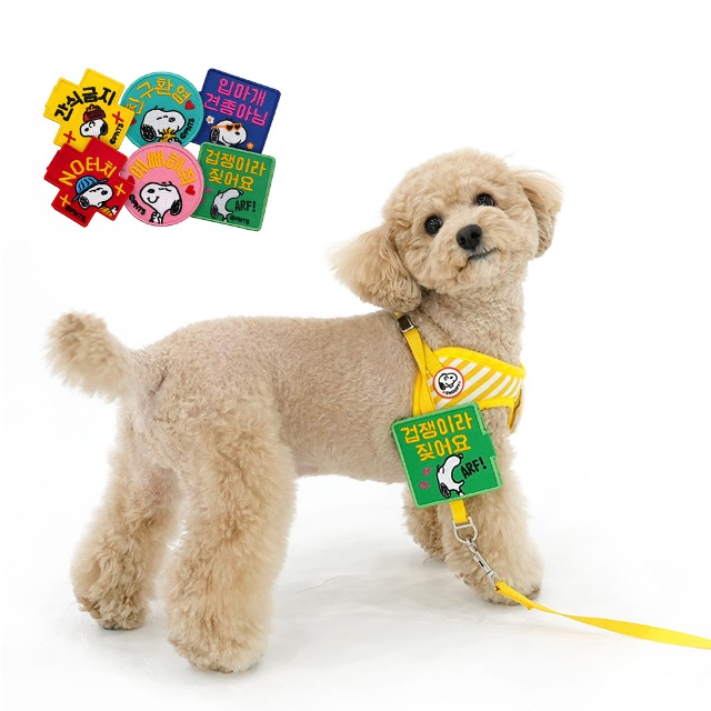 패리스독 리드줄 부착 메세지 산책 와펜, 1개 7,000원