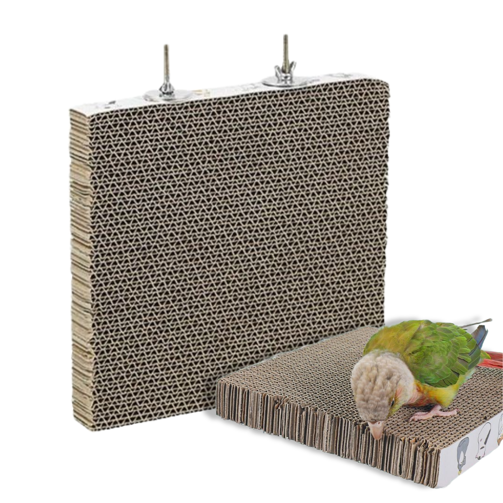 LETOJ 앵무새 골판지 장난감, 1개, 고양이패턴 7,800원