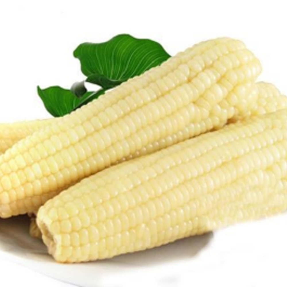 냉동 맛있는 찰옥수수 백찰(하얀색) 대, 특대, 5개, 진짜 대(16~18cm) 8,900원