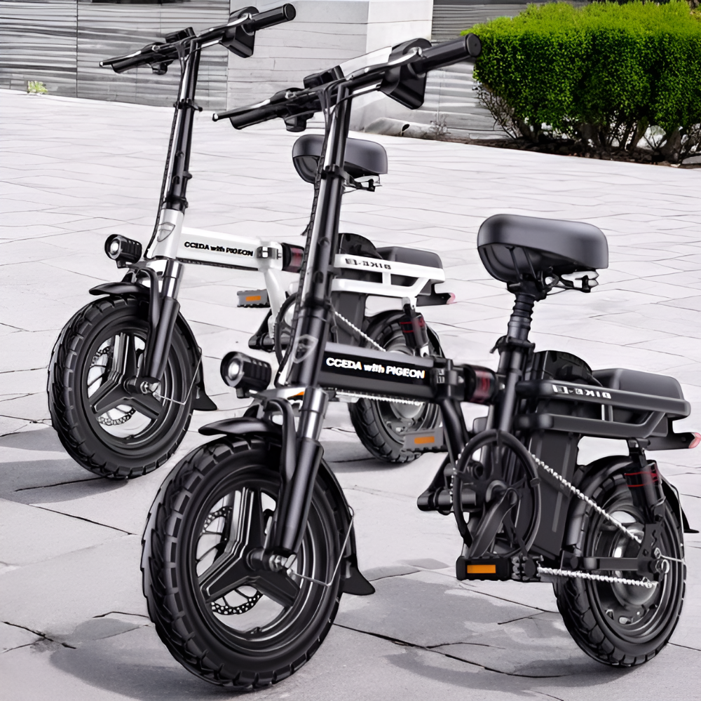 [독일기술] 루트나인 접이식 전기 전동 자전거 자토바이 299,000원