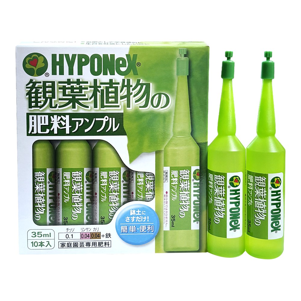 하이포넥스 관엽앰플 식물 화분 영양제 8,000원