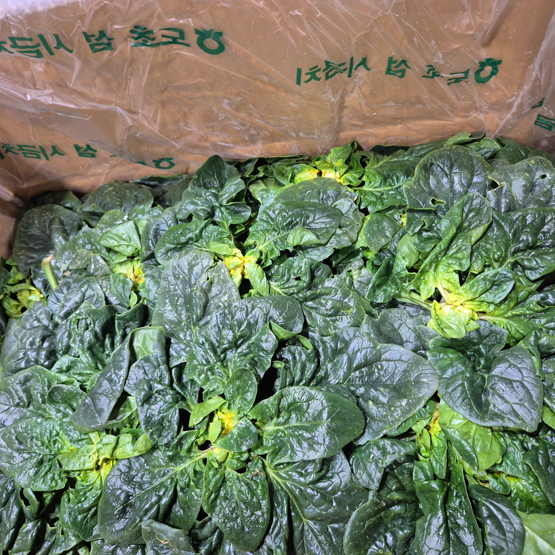 해풍맞은 달큰한 신안 비금,도초 섬초, 1박스, 8kg 76,500원