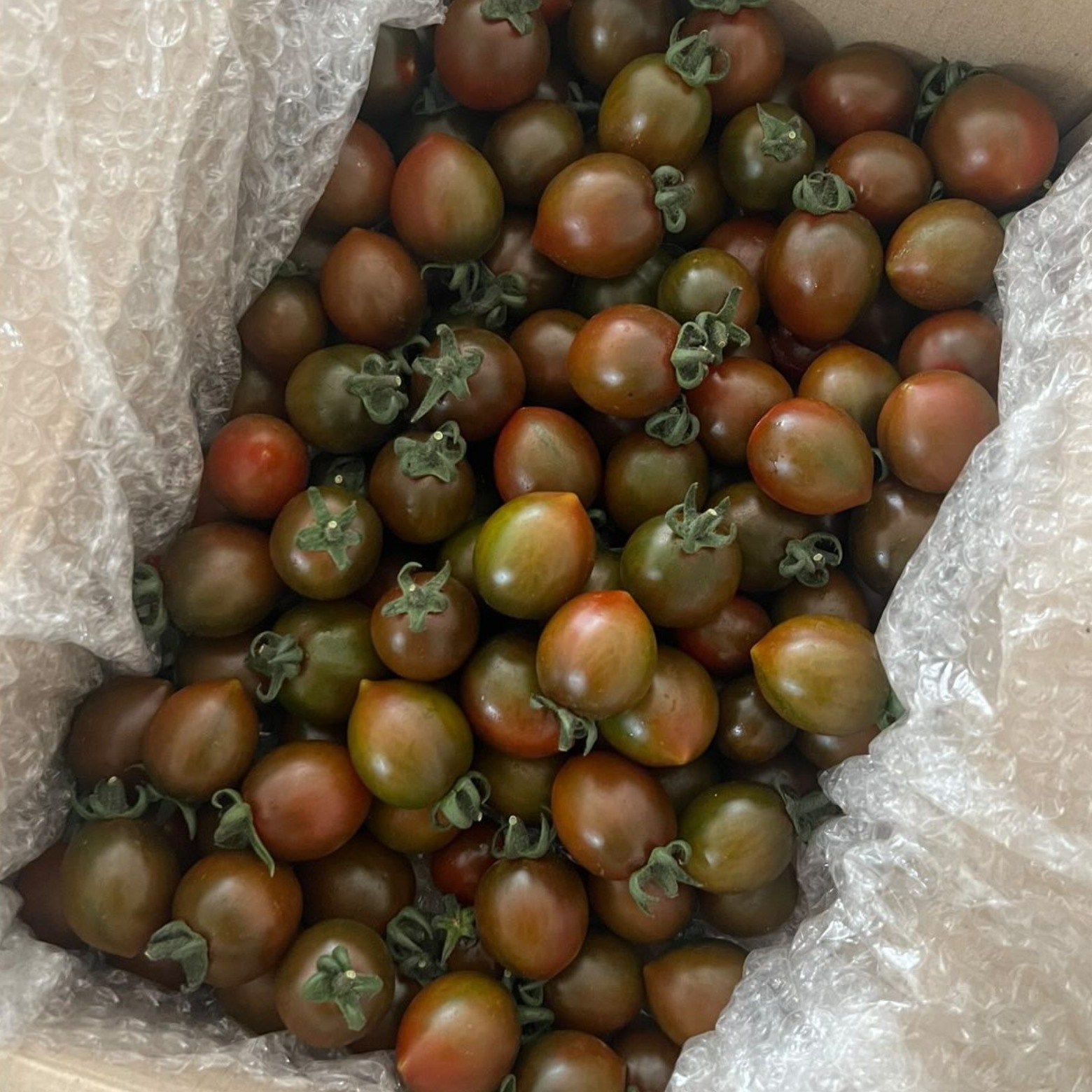 대저 흑대추방울토마토, 1박스, 2kg 28,500원