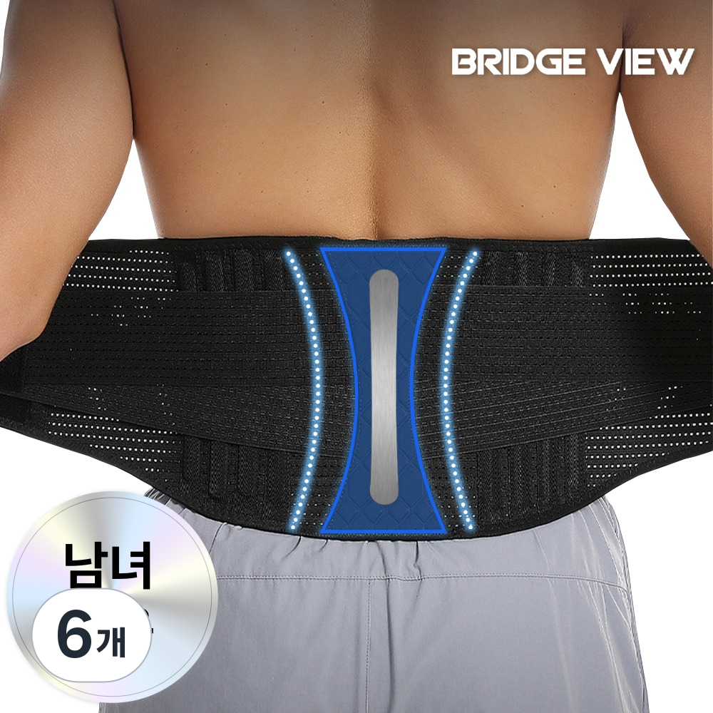 브릿지뷰 코어핏 척추지지 허리보호대, 6개, 현재가 128,400원