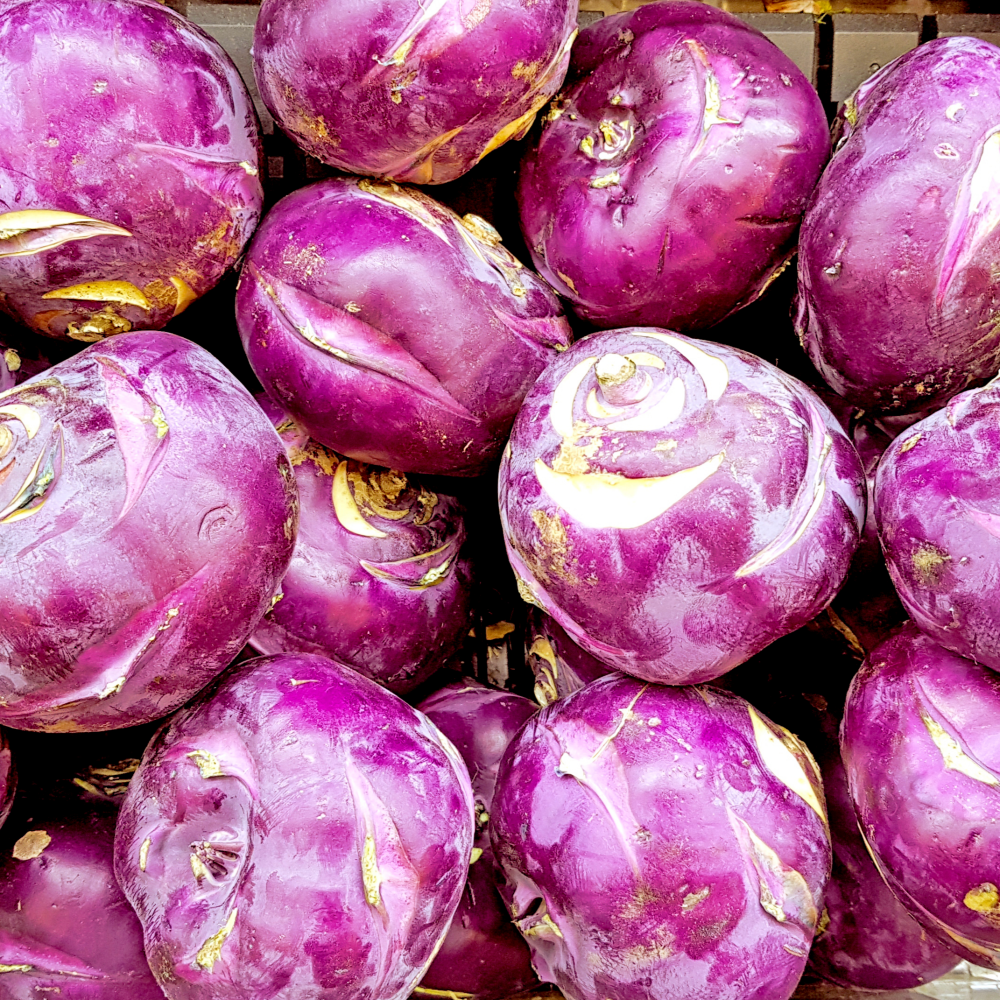 농장직송 특품 제주 콜라비 (로얄과), 10kg, 1박스 35,500원