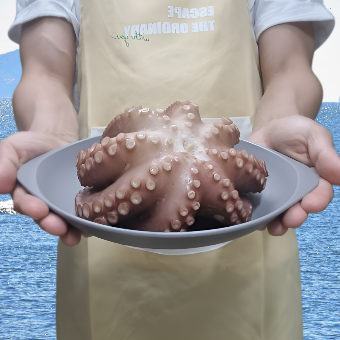 [산지직송] 싱싱한 당일조업 돌문어 51,900원