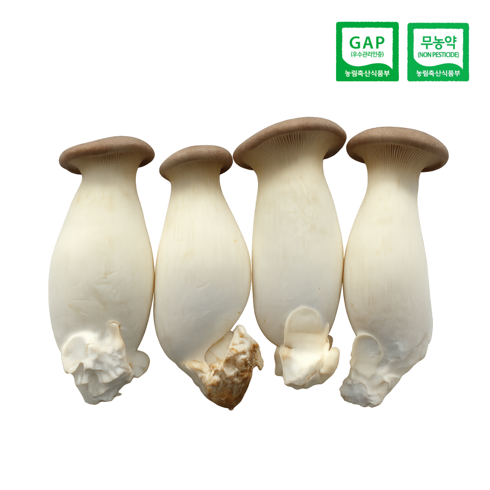 [GAP인증/무농약] 청도 그린피스농장 친환경 새송이버섯(농장 직배송) 16,900원