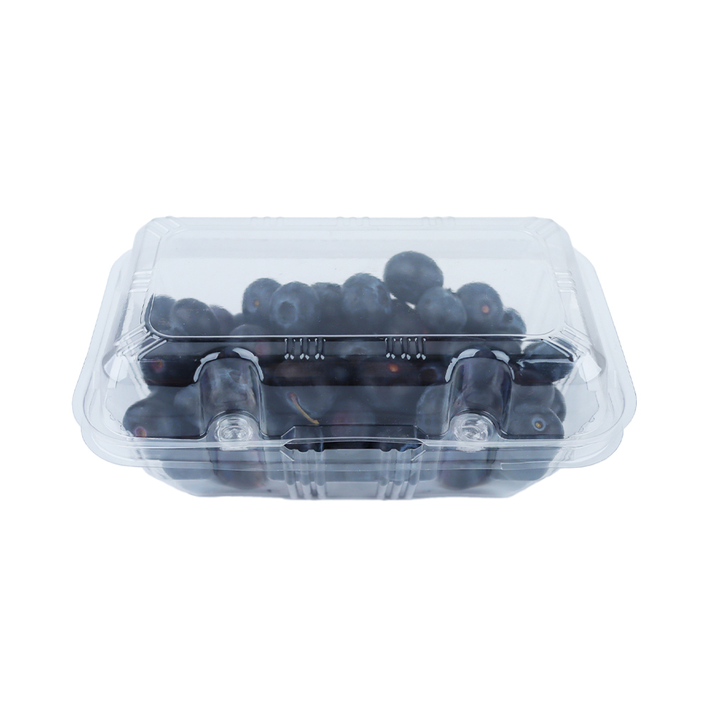 작은 과일 포도 샤인머스켓 방울토마토 델라포도200g 포장 용기 태방-101-2 [750개], 1세트, 750개 125,890원