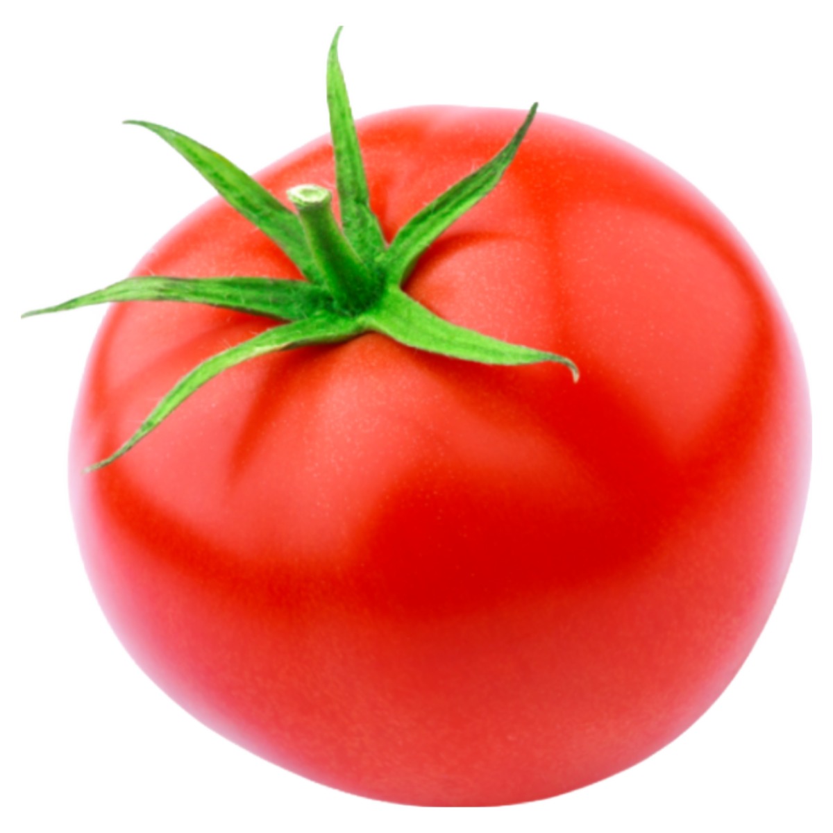 [지앤에프농업회사] 과즙팡팡 !! 당도폭발!! 완숙토마토 로얄중과/ 대과 / 주스과 구성 당일수확 당일발송, 1박스, 못난이5kg 18,900원