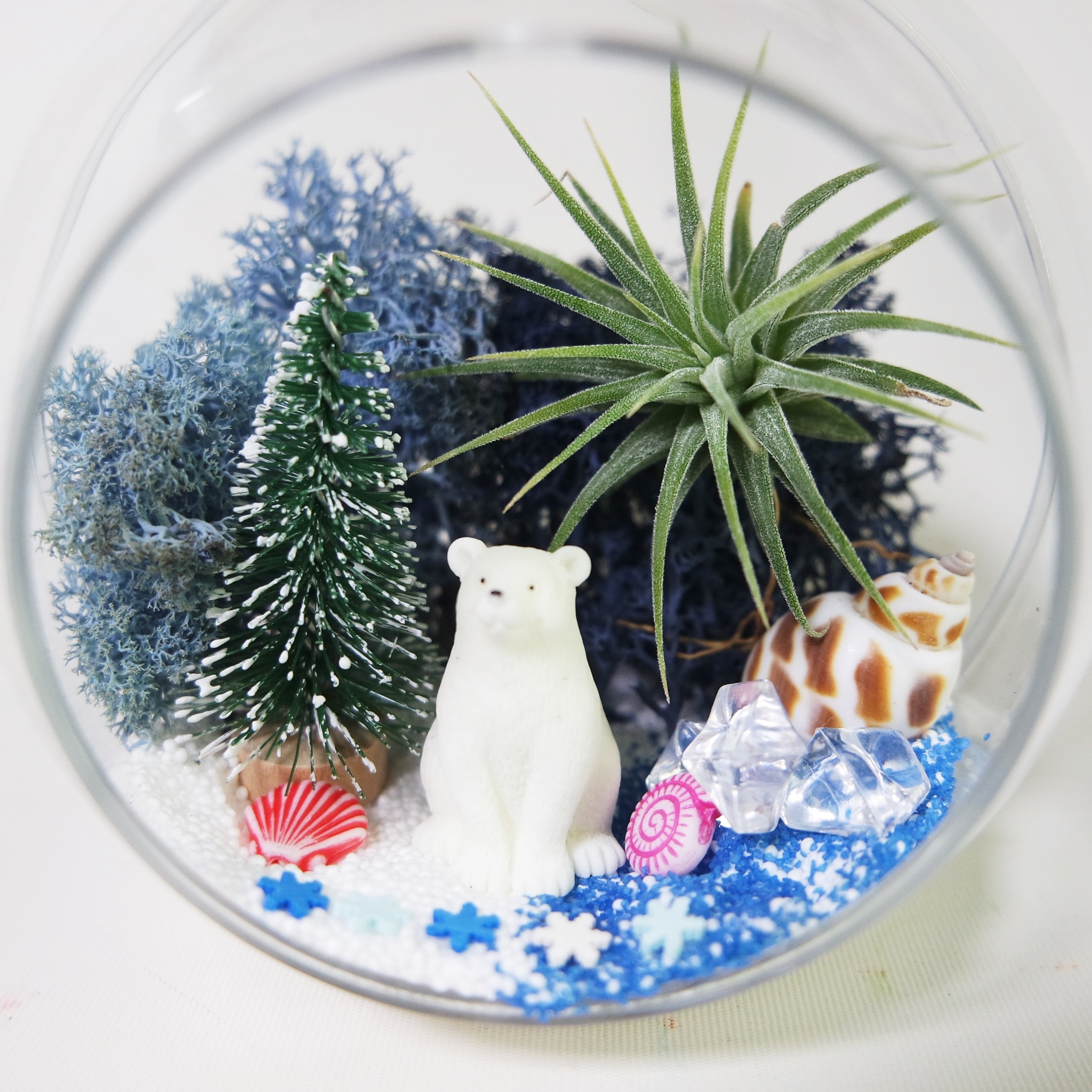 클레이 테라리움만들기키트/바다동물 피규어 선택/틸란드시아 별도 구입 12,000원