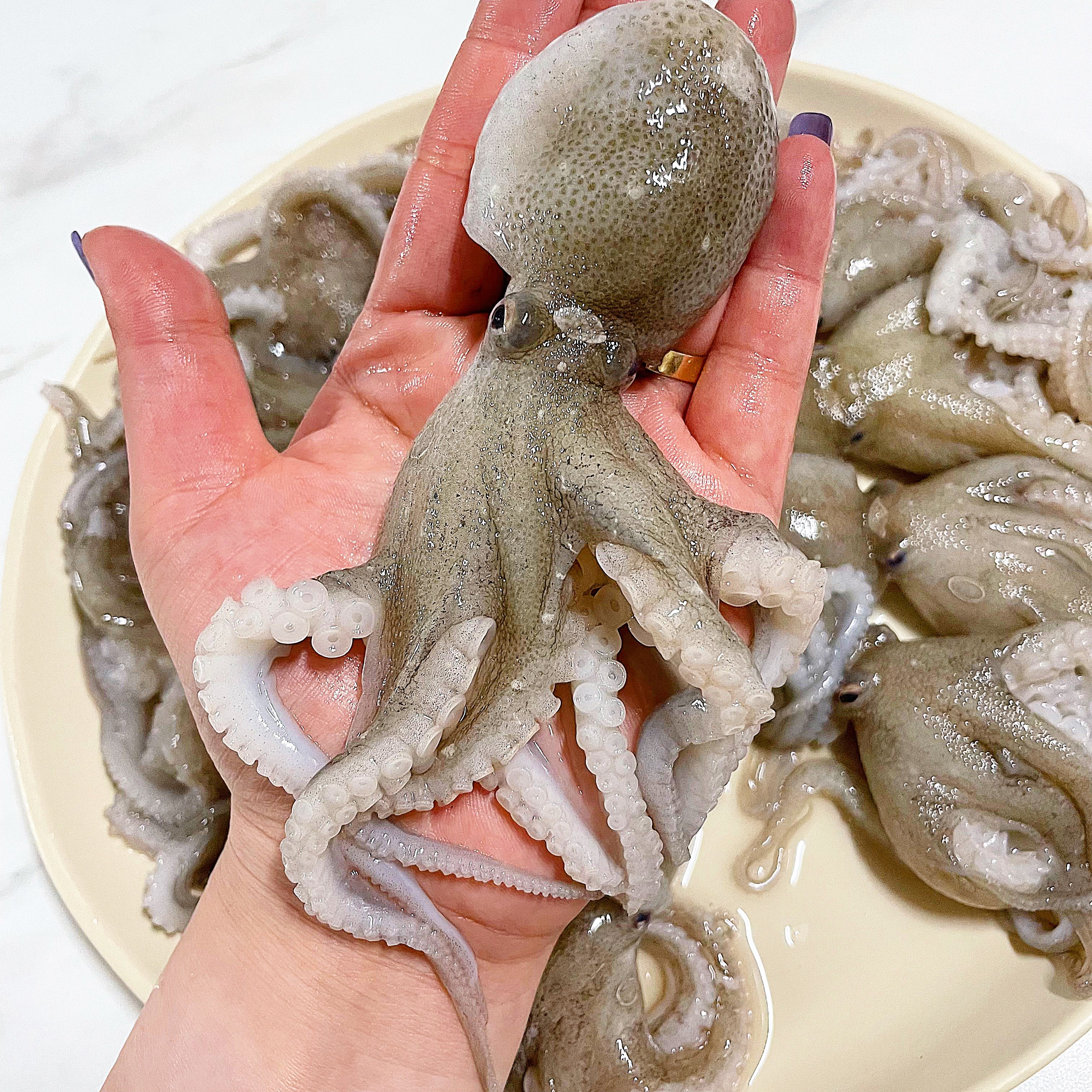 국산 활 주꾸미 쭈꾸미 샤브샤브 35,050원