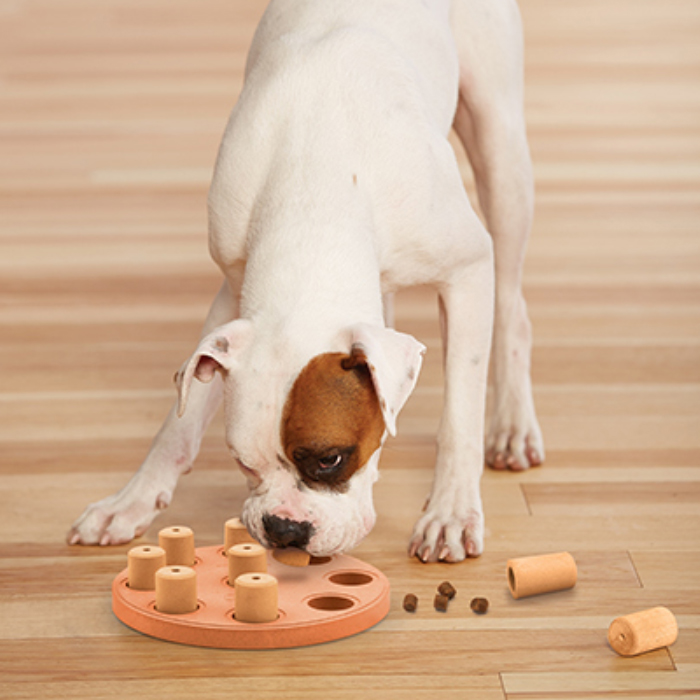 니나오토슨 도그스마트 컴포지션 에코 퍼즐노즈워크 강아지 고양이 IQ장난감 23 x 23 x 5.8 cm 16,000원