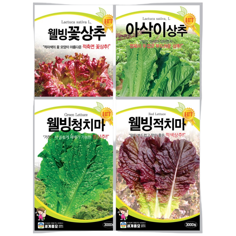모칸도 추천 상추씨앗 모음 4종 세트 사계절 쌈채소 청치마,적치마,꽃상추,아삭이상추, 1개 9,400원
