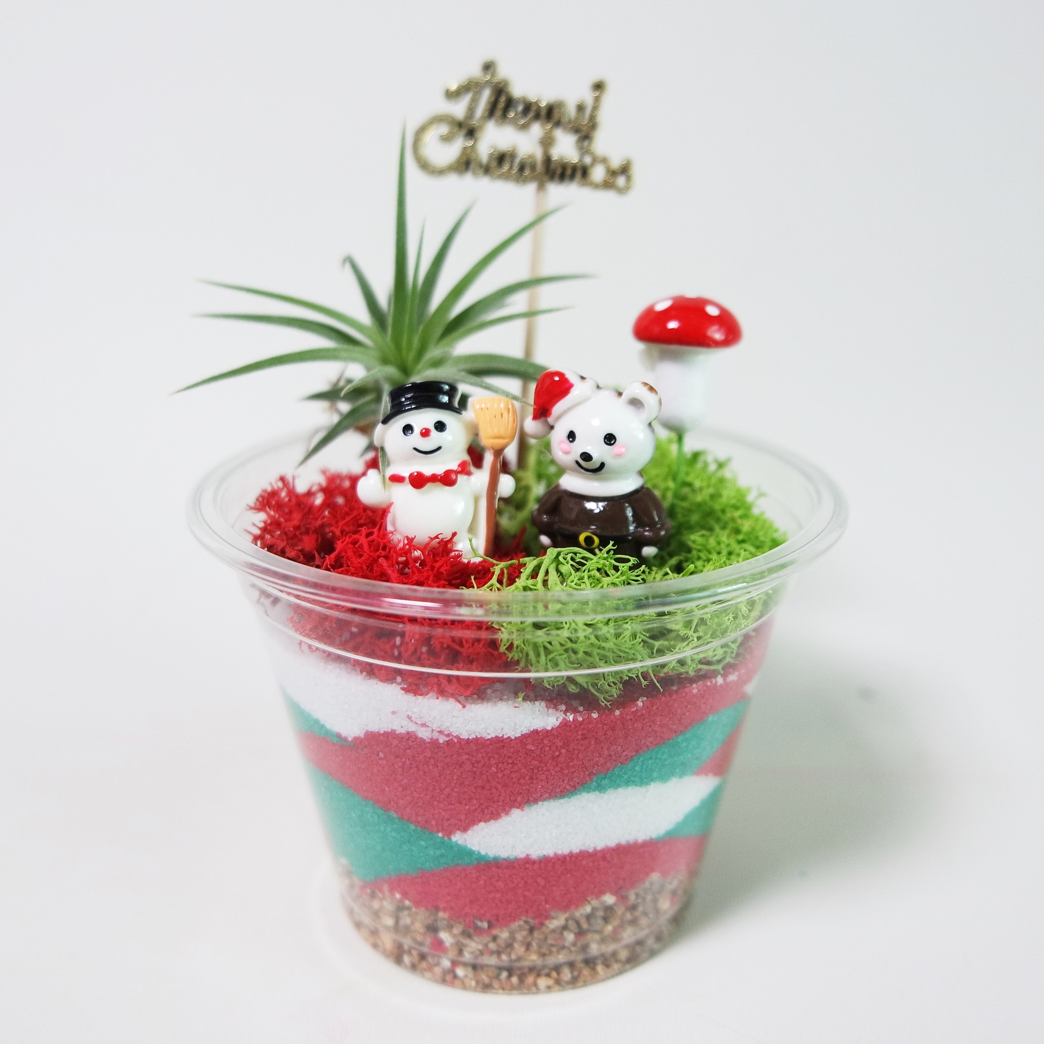 (10개) 미니 크리스마스 테라리움 만들기 키트 / 틸란드시아 89,000원