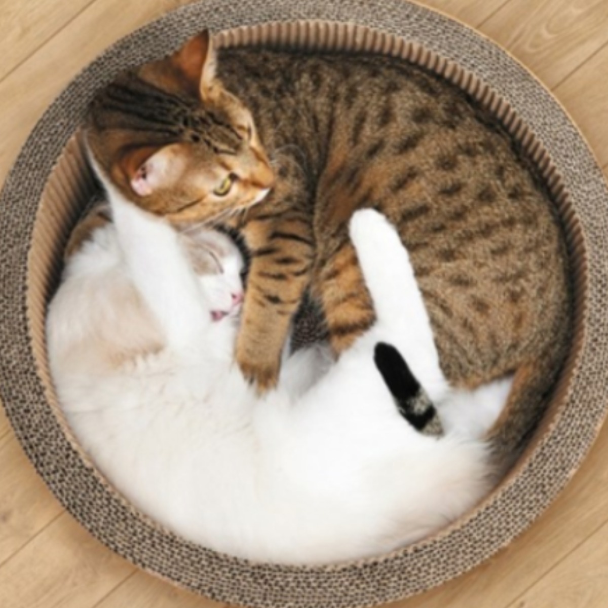 가리가리 빅서클 45,000원