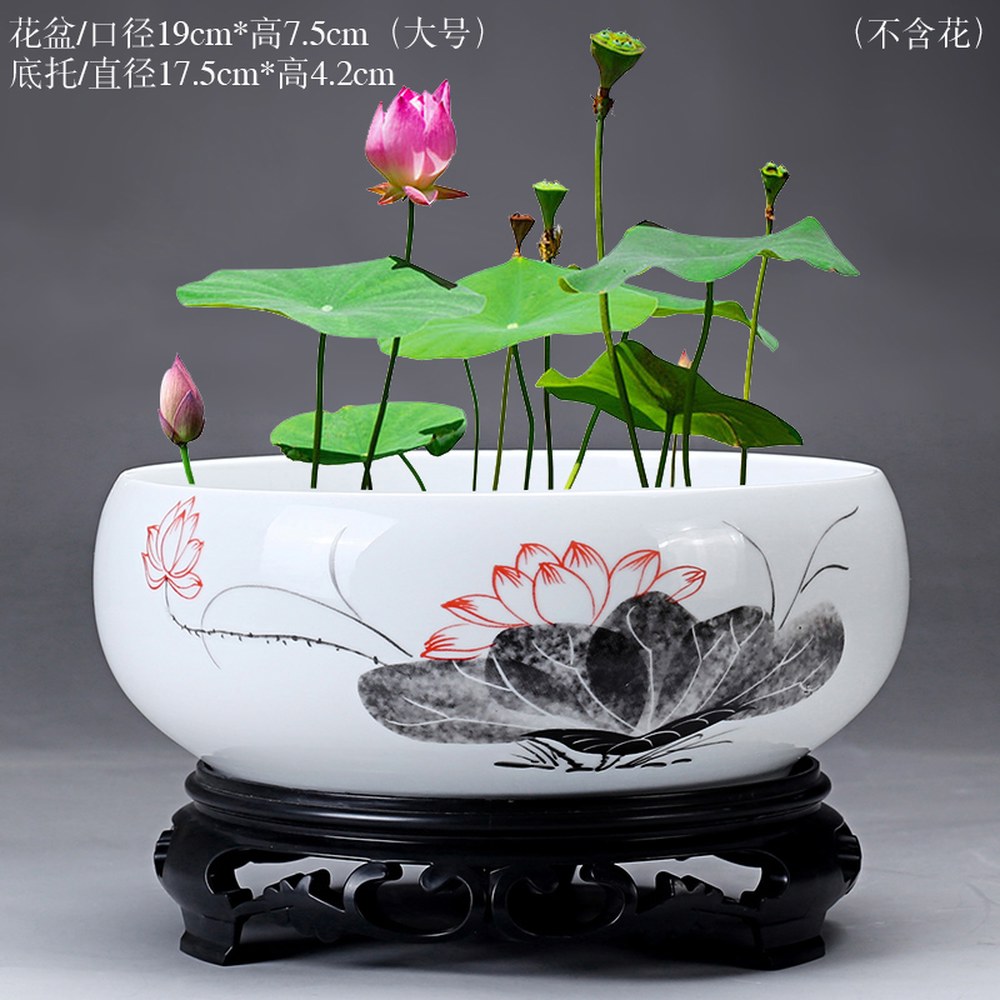 관상용 수반연꽃 미니연꽃키우기 수생식물 물확 도예 물고기연못 연꽃키우기 장식 돌물확 분수 21,500원