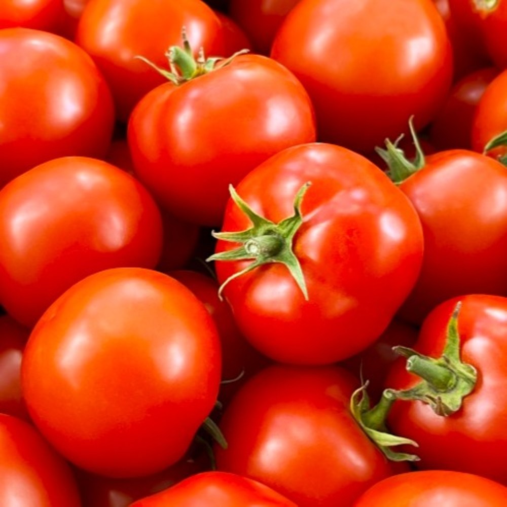 탱글탱글 정품 완숙토마토 농장직송 찰 토마토 16,530원