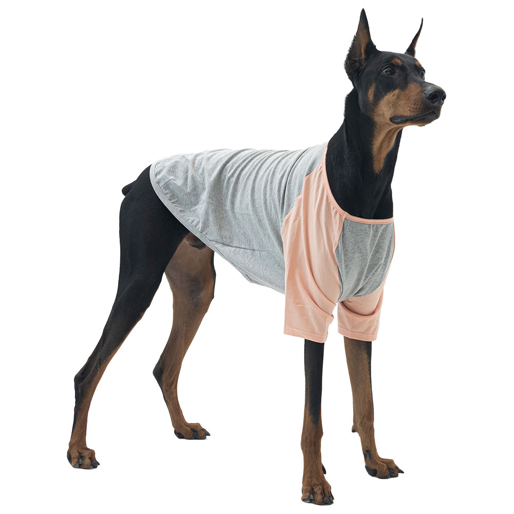 럭키페터 강아지 나그랑 티셔츠 16,900원