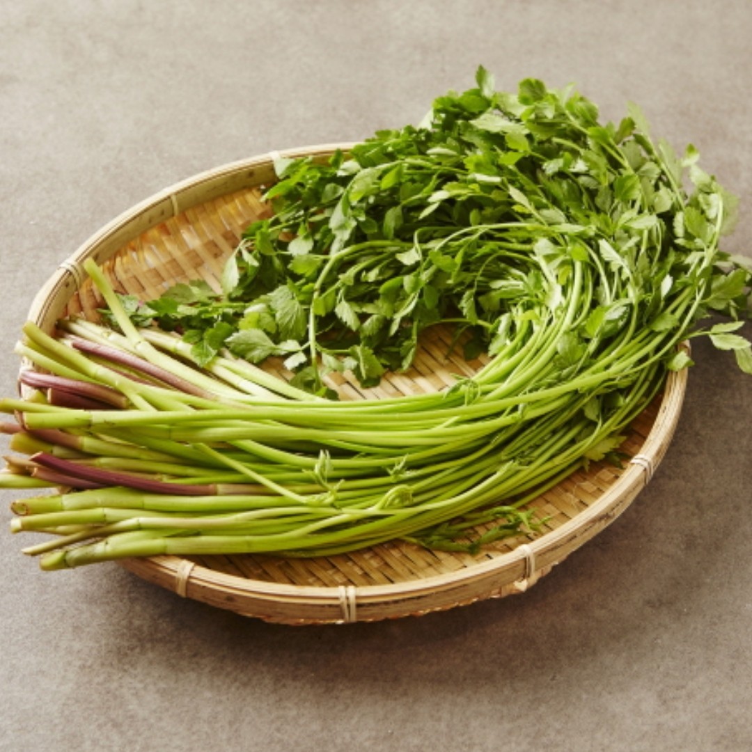 산지직송 돌미나리 15,800원