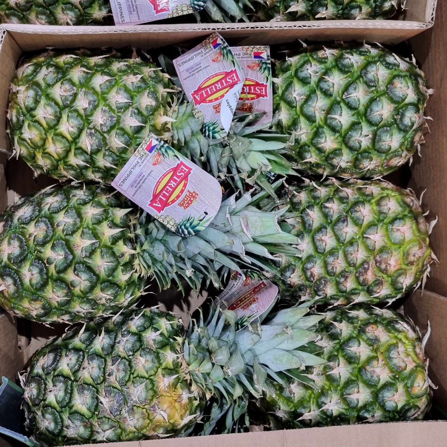 고당도 파인애플 중소과 대과 2수 4수 7수 59,060원