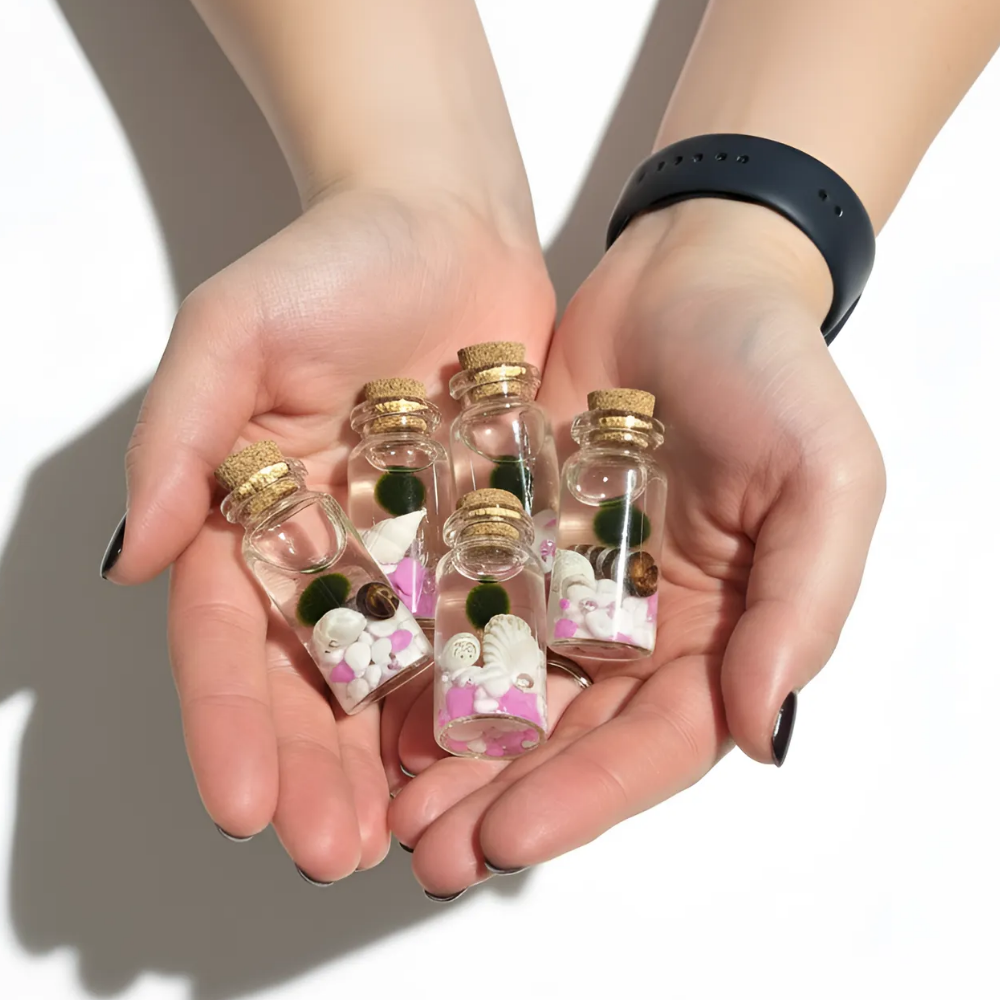 (달빛마녀캔들)미니 마리모 5개 키우기 세트 반려식물 21,000원