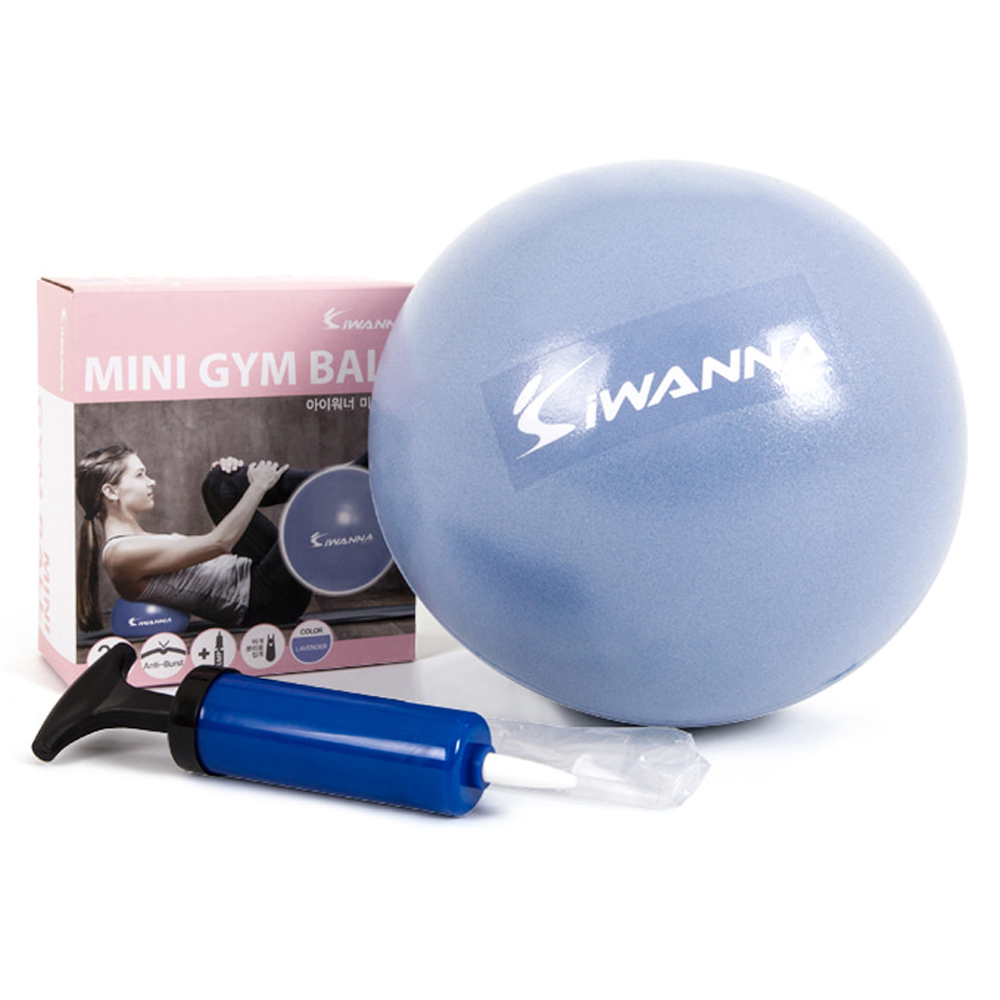 아이워너 미니 짐볼 4,560원