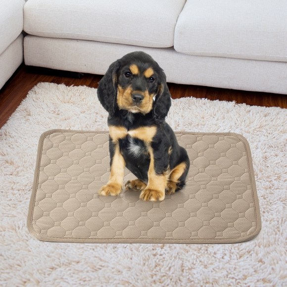 펫도그 빨아쓰는 배변패드(50x35cm) (브라운), 1개 3,940원