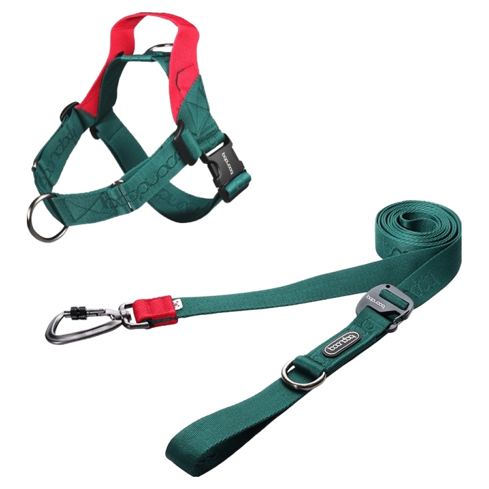 분독 강아지 플레이 카라비너 리쉬 + 0109 하네스 세트, 그린, 1세트 98,000원