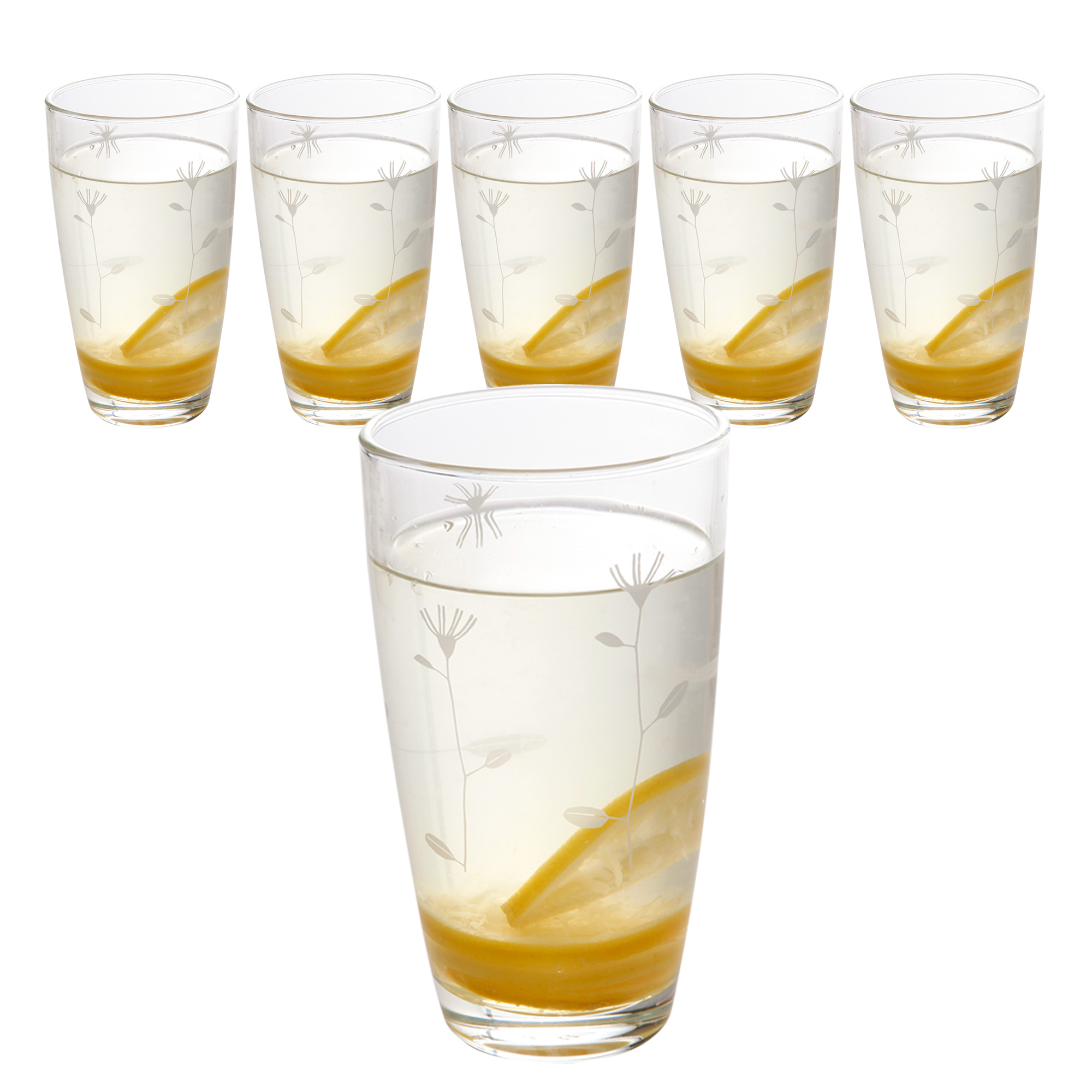 ZEN 레이첼바커 치커리 유리텀블러 450ml 19,200원