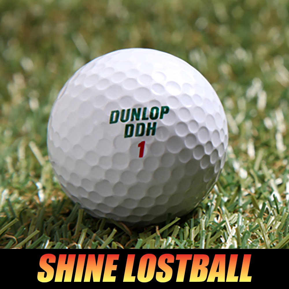 [샤인로스트볼] DDH 던롭 [특/A+등급], 1세트, 30개입, 화이트 8,900원