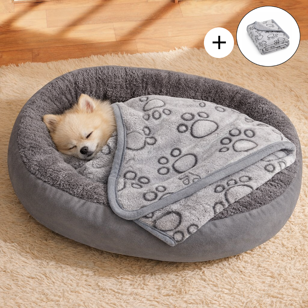 솜솜프렌즈 사계절 강아지 고양이 방석 쿠션 침대 담요 세트, 1개, 그레이 20,500원