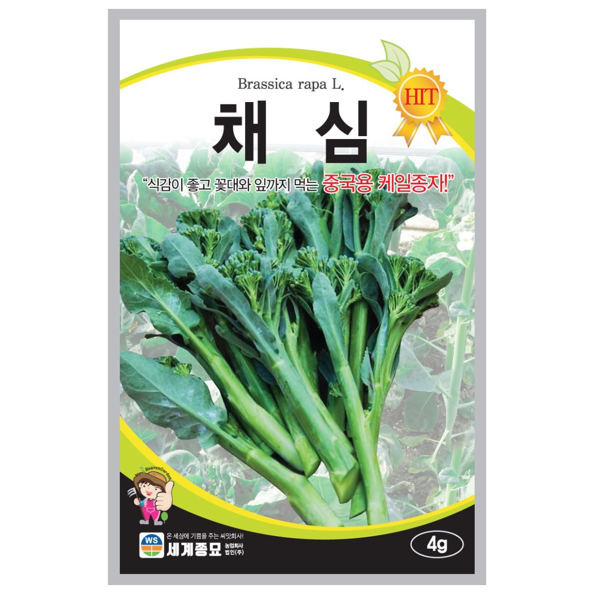 세계종묘 채심 씨앗 4g 4,490원