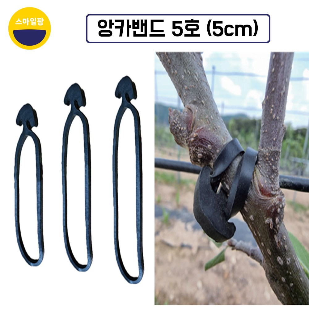 앙카밴드 5cm 1봉(500개) 닷밴드 결속고무밴드 유인끈 과수자재 17,000원