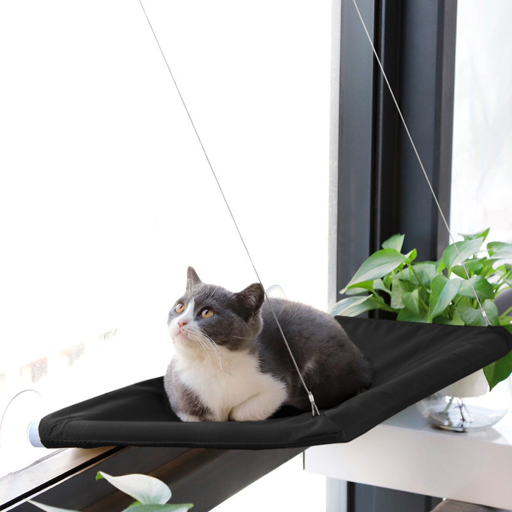 펫츄츄 고양이 창문 해먹 윈도우 창틀 침대 유리 쿠션 창문해먹 흡착 창가선반, 1개, 검은색 9,800원