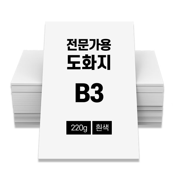 전문가용 도화지 220g 100매 흰색 B3 16,900원