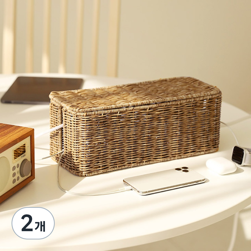 네이쳐리빙 데이지가든 라탄 멀티탭 정리함 22,900원