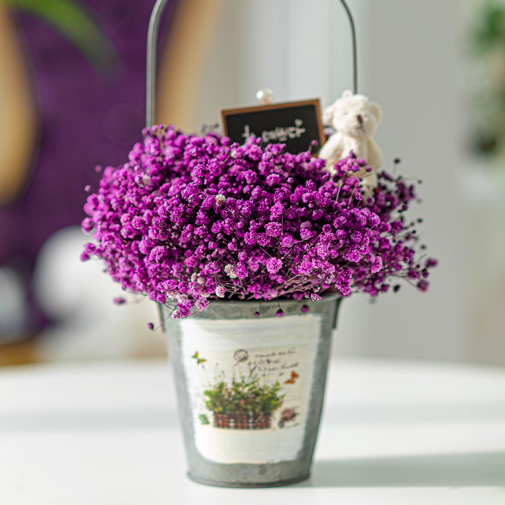 라운드오프 소나무로 만든 시들지 않는 LED 안개꽃바구니 34,900원