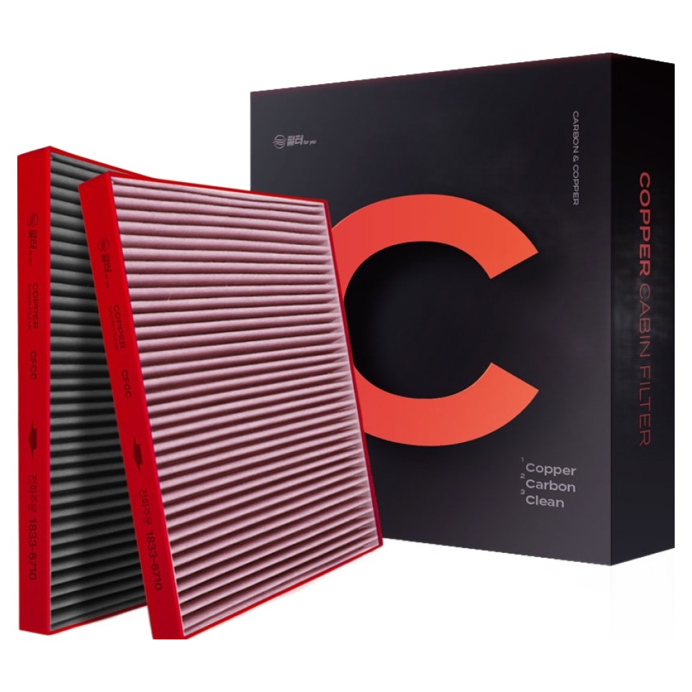 필터포유 필터C 구리 활성탄 자동차 에어컨 필터 레이 EV 전기차 전용 10,430원