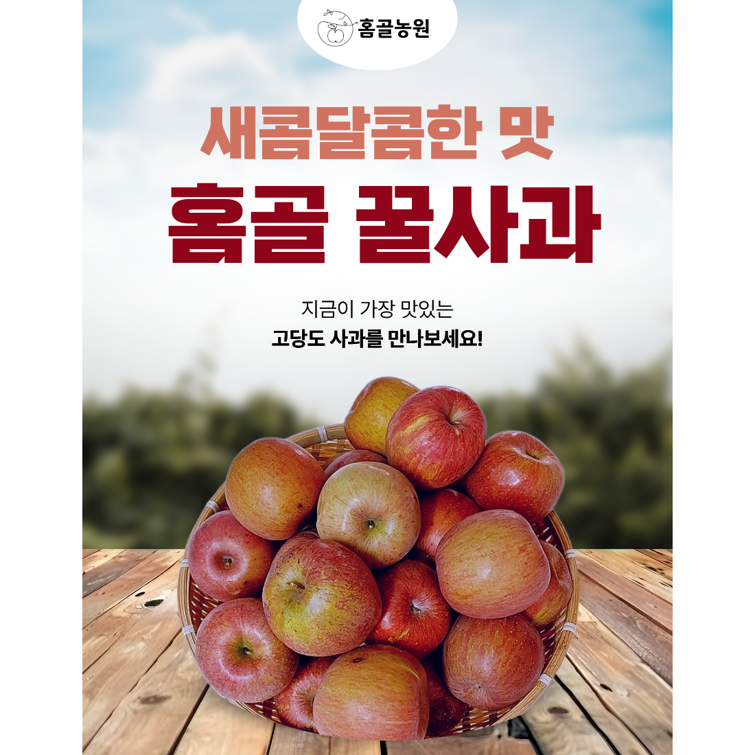 사과 유명한곳 경북 청송 홈골농원 꿀 맛 사과 가정용 5kg 25,740원