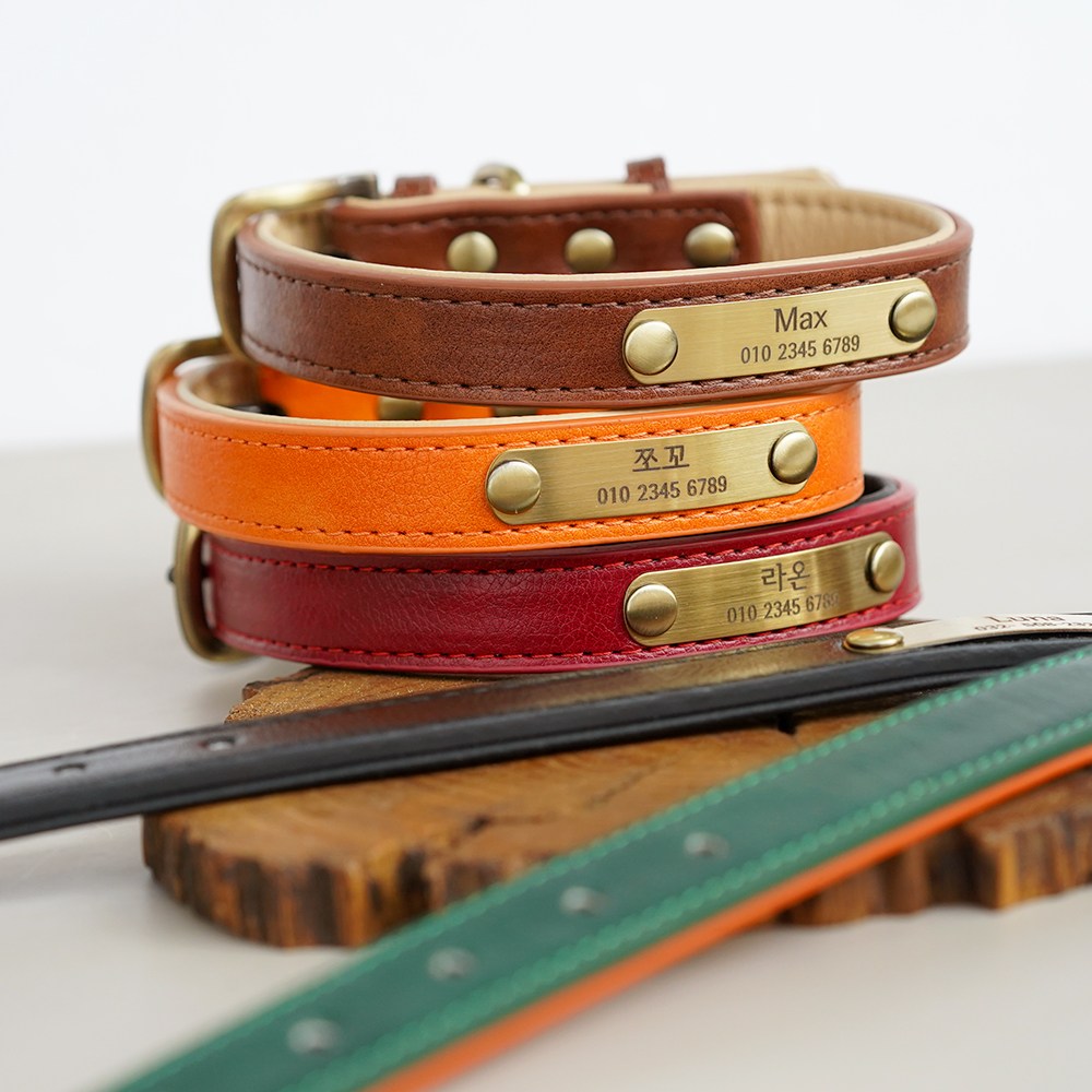 아미펫 2in1 클래식 컬러 목줄 13,900원