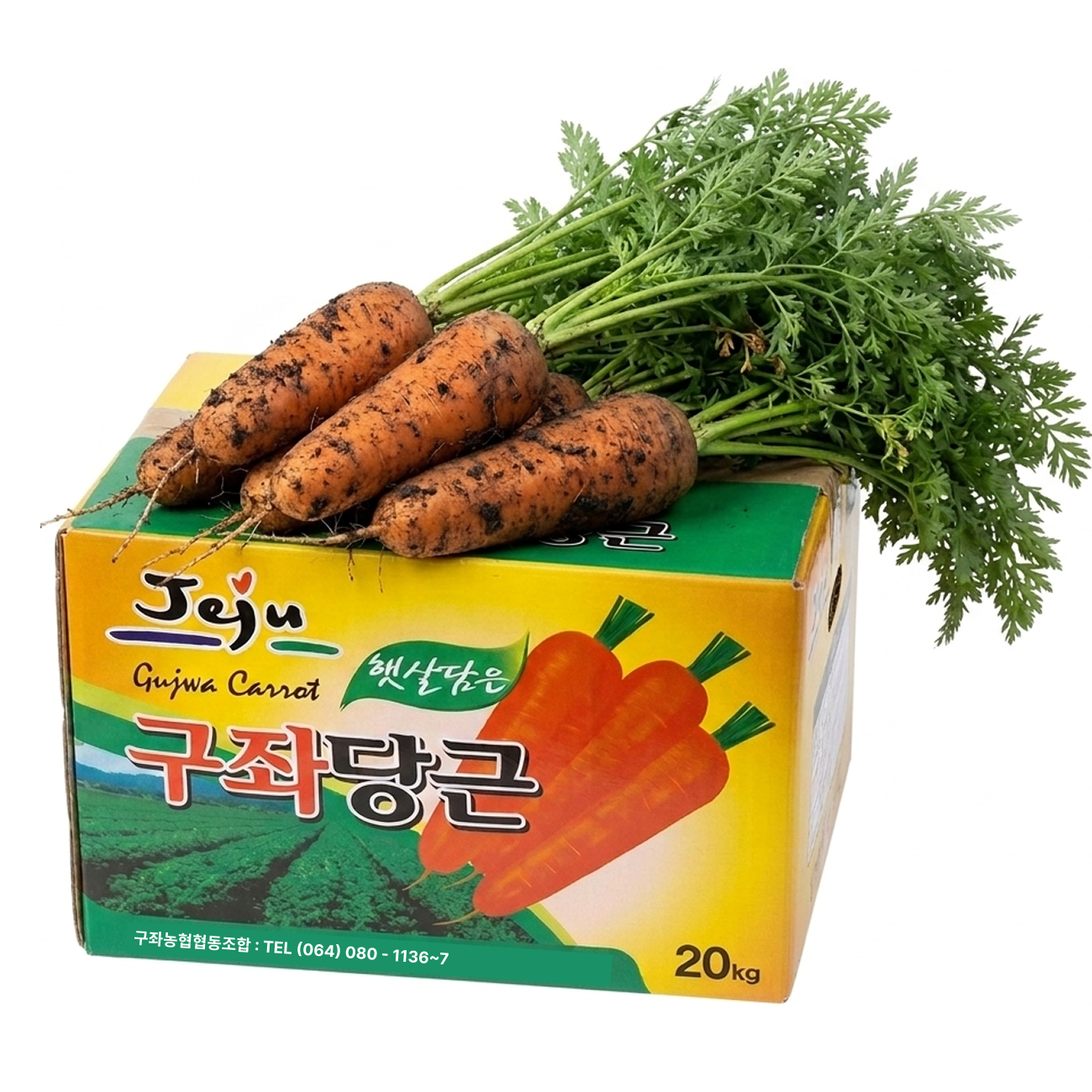 [환불보장] 제주 구좌 당근 2025 흙당근, 1박스, 10kg (중품) 27,900원