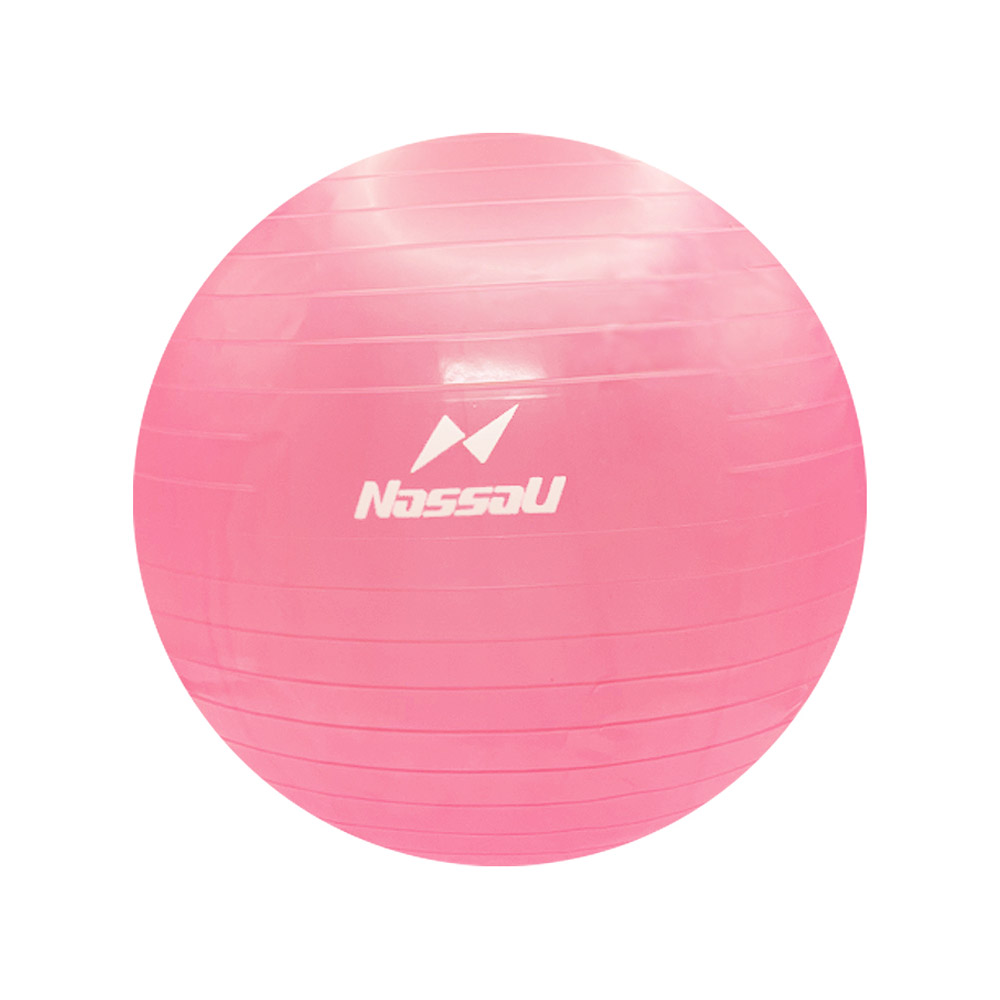 낫소 짐볼 65cm 핑크 에어펌프 공기마개 7,900원